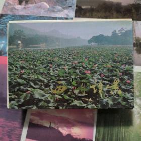 西湖诗景 明信片（10张）