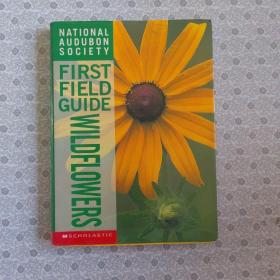 National Aidubon Society
                  First Field Guide 

Wildflowers.    Susan Hood.  英语进口原版铜版纸彩色印刷