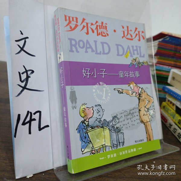 好小子-童年故事：罗尔德·达尔作品典藏