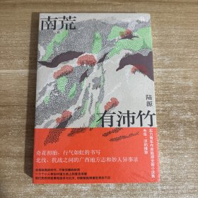 南荒有沛竹（光怪陆离的民国广西故事；历史想象力的巅峰；朱岳、淡豹推荐）
