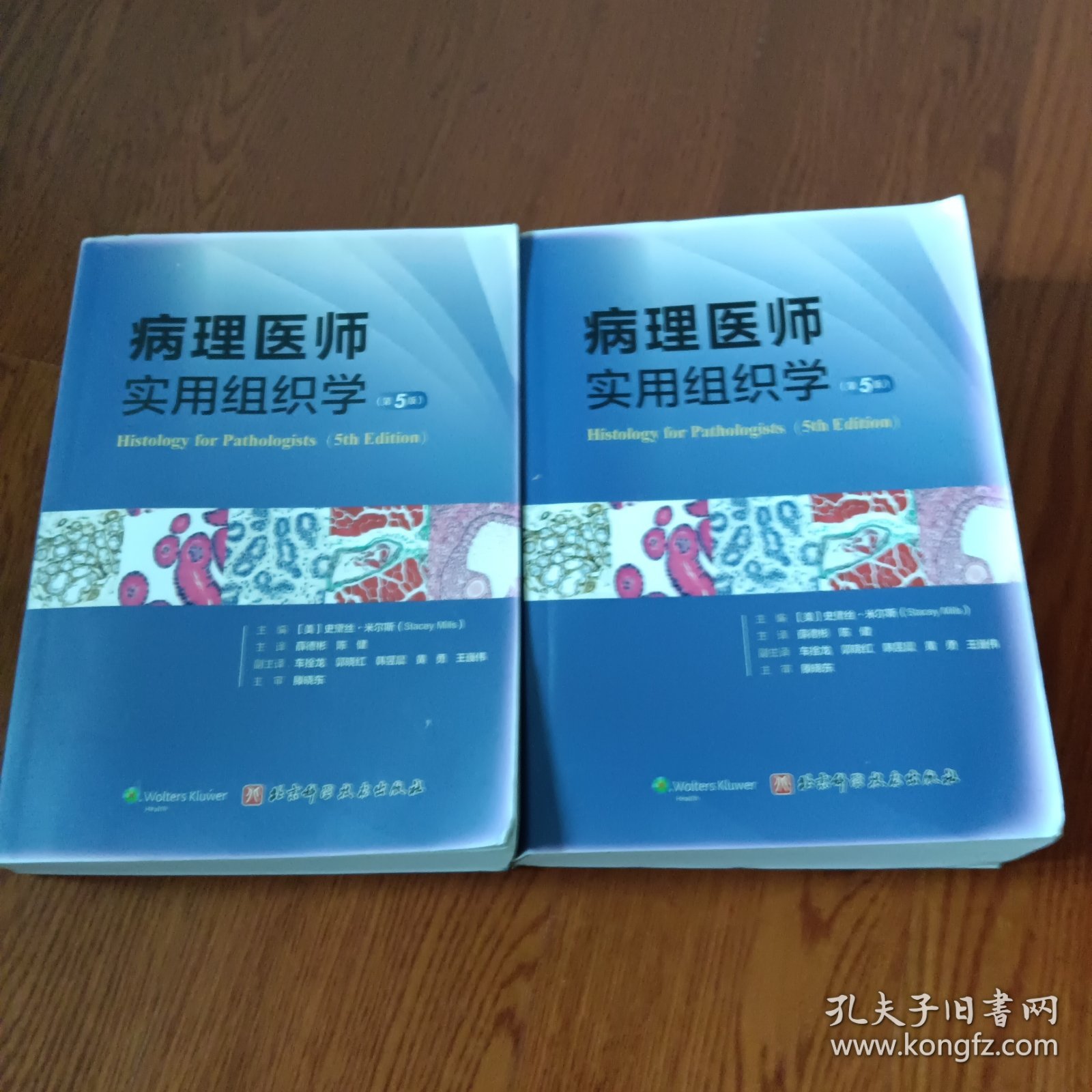 病理医师实用组织学(影印本)
