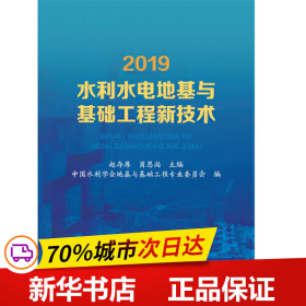 2019水利水电地基与基础工程新技术