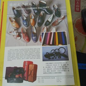 锦州皮革总厂 东北资料 广告页 广告纸