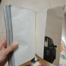 风过高原-王秋杨的西藏日记:王秋阳西藏日记