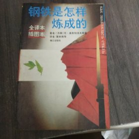 钢铁是怎样炼成的