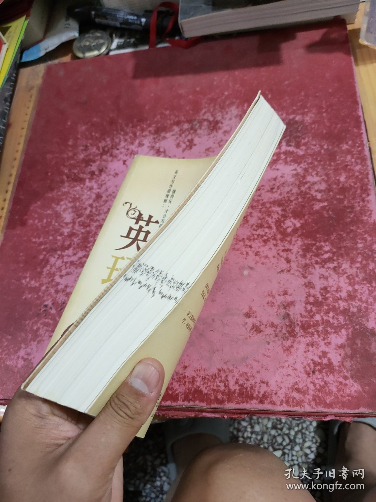 英文玩家：大师教你读经典玩写作