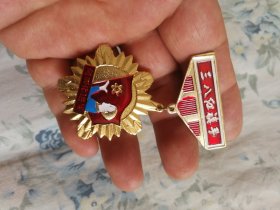 北京市琉璃河水泥厂三八红旗手奖章，向四化进军：八九十年代的纪念章，单个价。