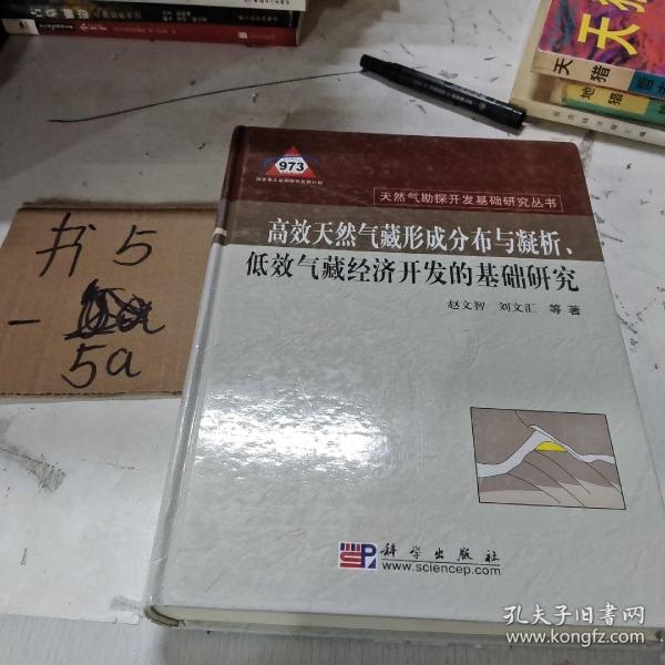 高效天然气形成分布与凝析、低效气藏经济开发的基础研究