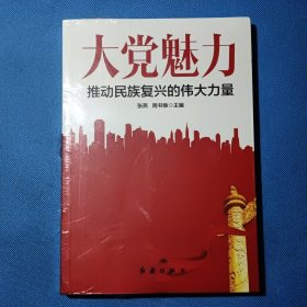 大党魅力【全新未开封】