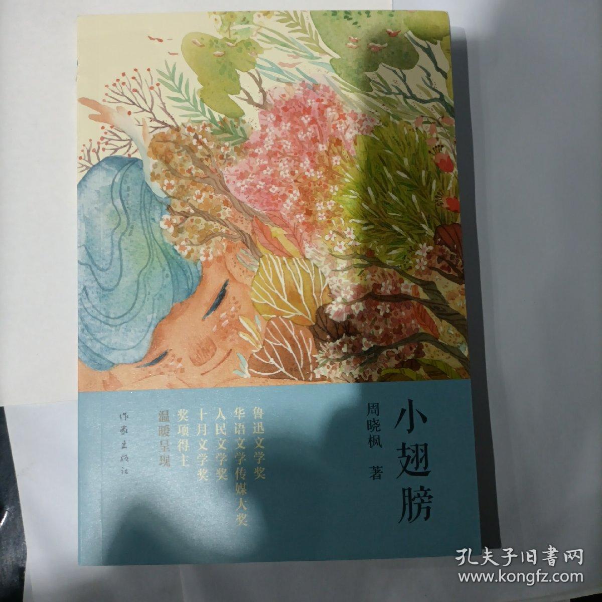 小翅膀