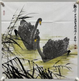 ‘石建勋国画作品：中国国画家协会会员。东营市美术家协会副主席，山东省美术家协会会员，黄河口湿地画派创始人。 （68*68厘米，未装裱，）