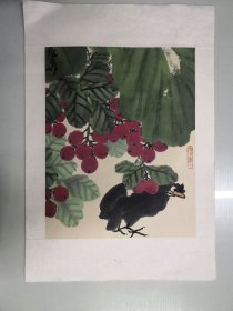 阿岛花鸟画