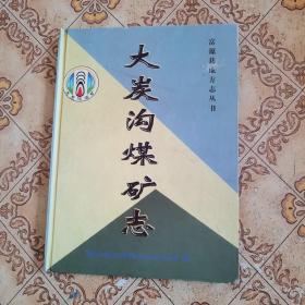 大炭沟煤矿志：（1984、12—2004、12）：云南省富源县地方志丛书