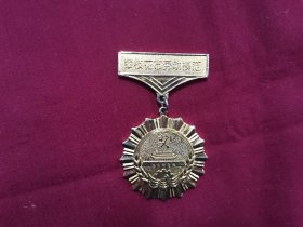《攀枝花市劳动模范》奖章，攀枝花市政府1994年颁发。
