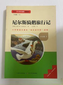 尼尔斯骑鹅旅行记六年级下册