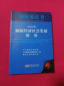 铜陵经济社会发展报告（2022）