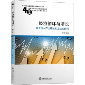 经济循环与增长 基于投入产出理论和方法的研究