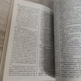 现代英汉同义词近义词辞典