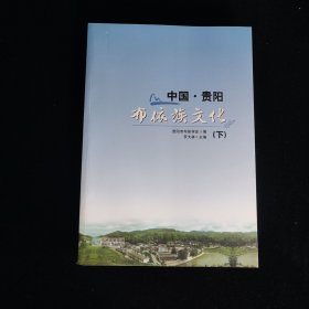 中國·貴陽 布依族文化（下冊）