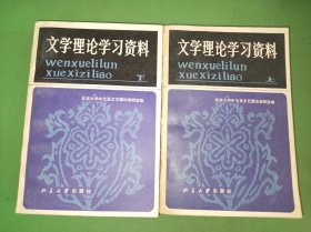 文学理论学习资料（上下册）