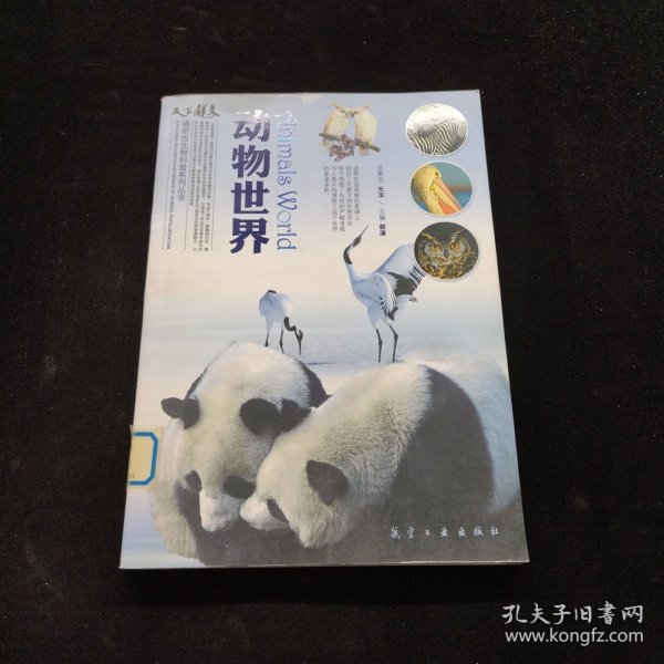 动物世界