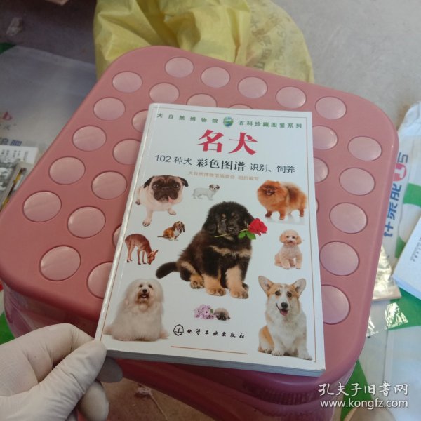 名犬 