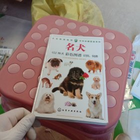 名犬 