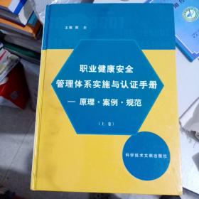 职业健康安全管理体系与认证手册 上中下