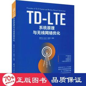 TD-LTE系统原理与无线网络优化 