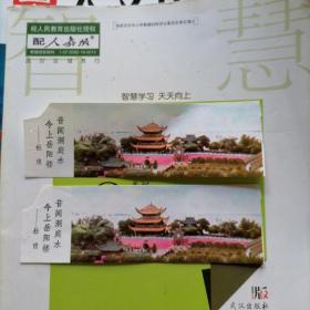 门票：岳阳楼游览券门票2张合售，纸质卡片（实物拍摄，品相版本请自鉴）