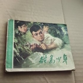 连环画：甜岛少年