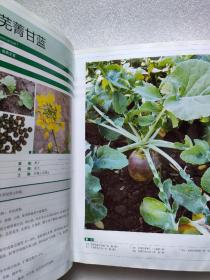中国蔬菜作物图鉴