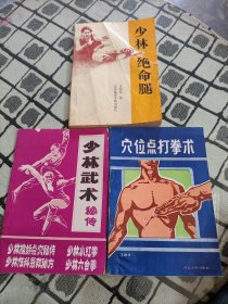 少林绝命腿 + 少林武术秘传 + 穴位点打拳术