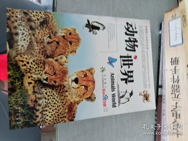 动物世界