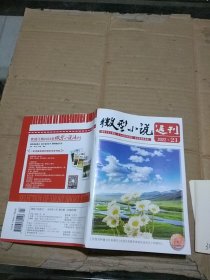 微型小说选刊2022.21