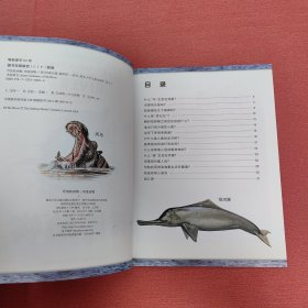 可怕的动物.河流动物（英国Salariya图书公司两大支柱图书之一，畅销10年，单本销量过百万、全球22个版本，让孩子体验神奇的X光透视效果）