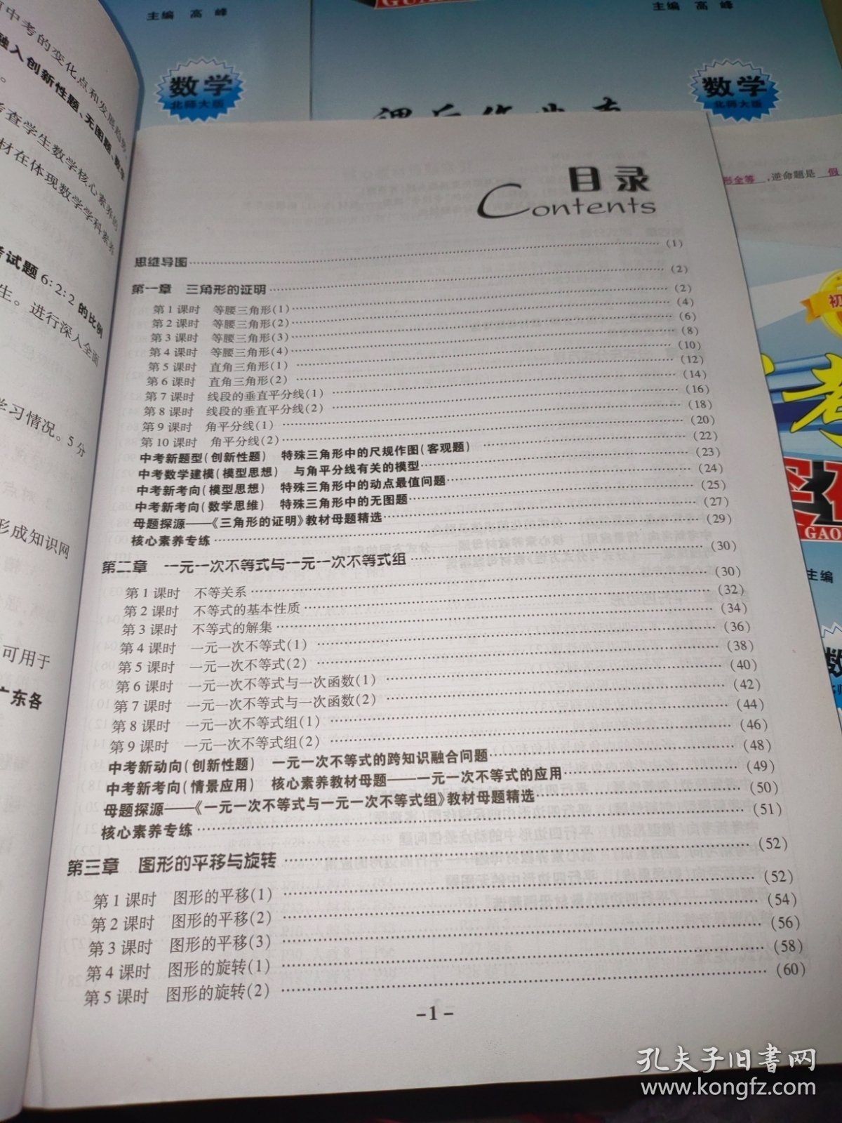 广东中考高分突破 初中同步课堂必备 数学八年级下册【含配套如图】教师用书