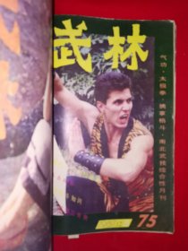 绝版杂志丨武林1987年1一12期合订本 （全12期带中插）详见描述和图片