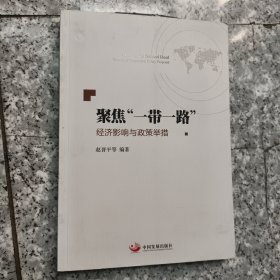 聚焦“一带一路” 经济影响与政治举措 正版内页没有笔记