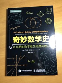 【内页干净】奇妙数学史 从早期的数字概念到混沌理论（数学科普佳作-适合中学生）