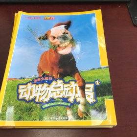 中国国家地理博物百科丛书：动物总动员、魔幻风景秀、探险集结号（3册合售）