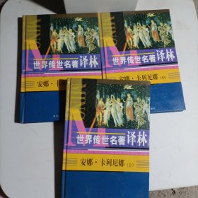 安娜卡列尼娜上中下精装