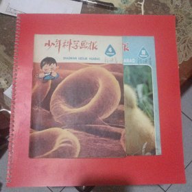 少年科学画报，1980年4和9两本合售，八品，有两个装订孔。