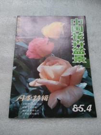 中国花卉盆景1985/4