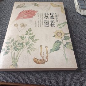 山东师范大学大学珍藏植物科学绘图 9787533084288 山东美术出版社