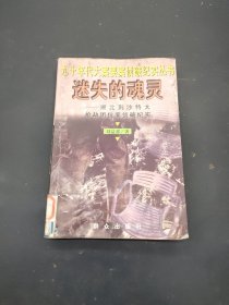 迷失的魂灵--湖北荆沙特大抢劫团伙案侦破纪实