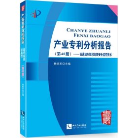 产业专利分析报告