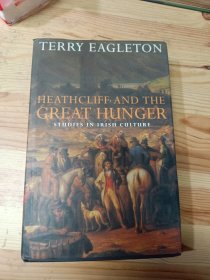 Heathcliff and the Great Hunger: Studies in Irish Culture