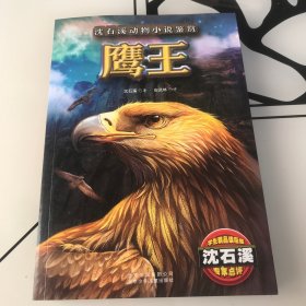鹰王