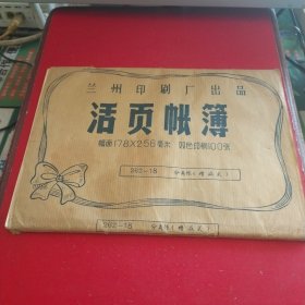 活页账簿（幅面178×256毫米 双色印刷100张）